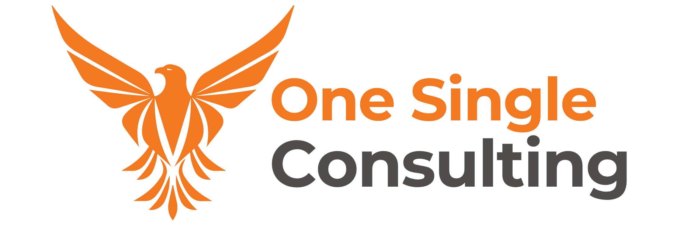 one single consulting